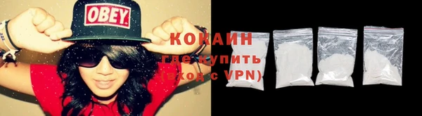 ГАЛЛЮЦИНОГЕННЫЕ ГРИБЫ Абаза