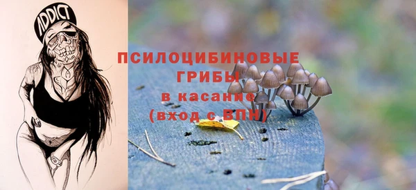 метадон Алексин